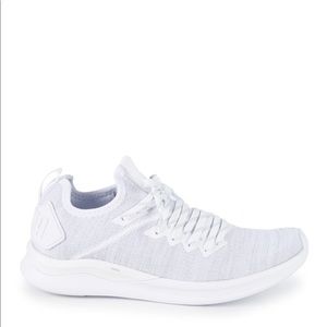 Puma Ignite Flash EVOKNIT